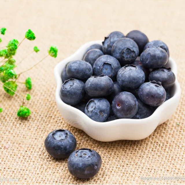 Blueberry Extract Blueberry Anthocyanins 