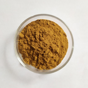 Salvia Miltiorrhiza Extract Salvianolic Acid B7% (HPLC) Daiclzein 5%
