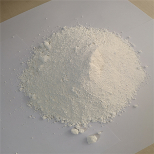 Shark Chondroitin Powder