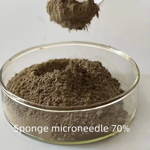 Sponge microneedles