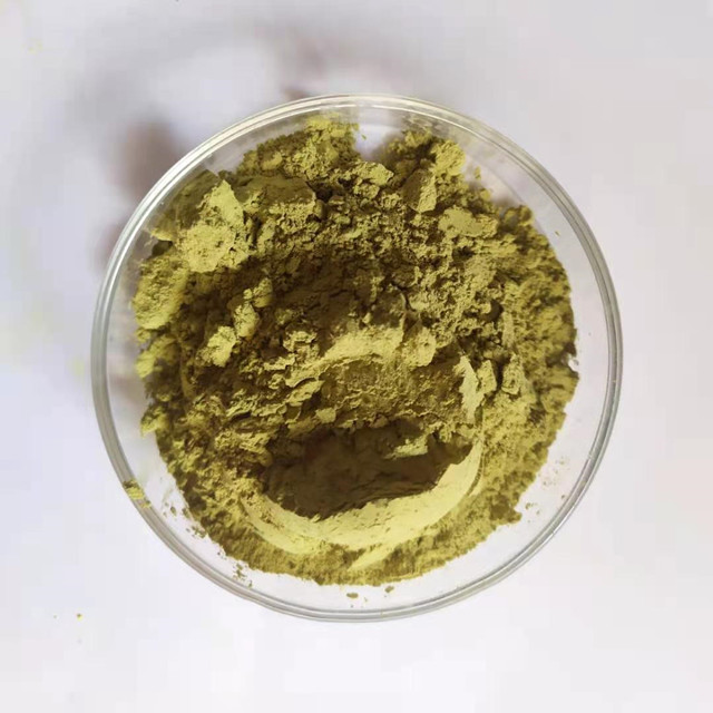 Loquat Leaf Extract Ursolic Acid
