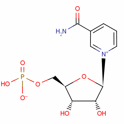 Beta Nicotinamide Mononucleotide 